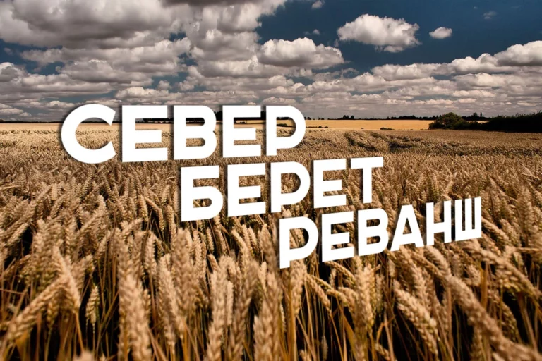 Более 28% инвестиций в АПК перетянула на себя Северо-Казахстанская область - изображение 1