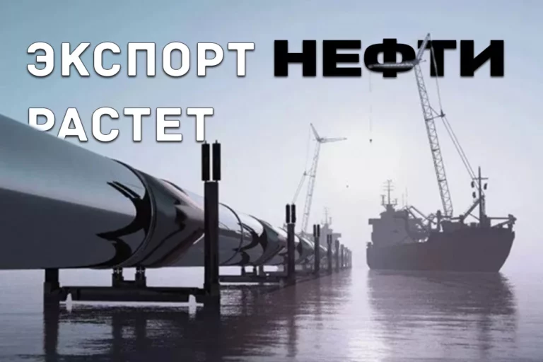 Диверсификации экономики нет - изображение 1