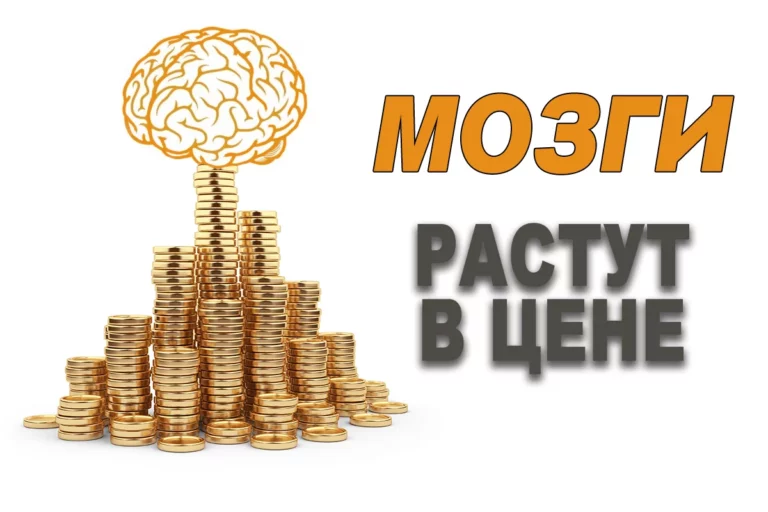Без науки никуда - изображение 1