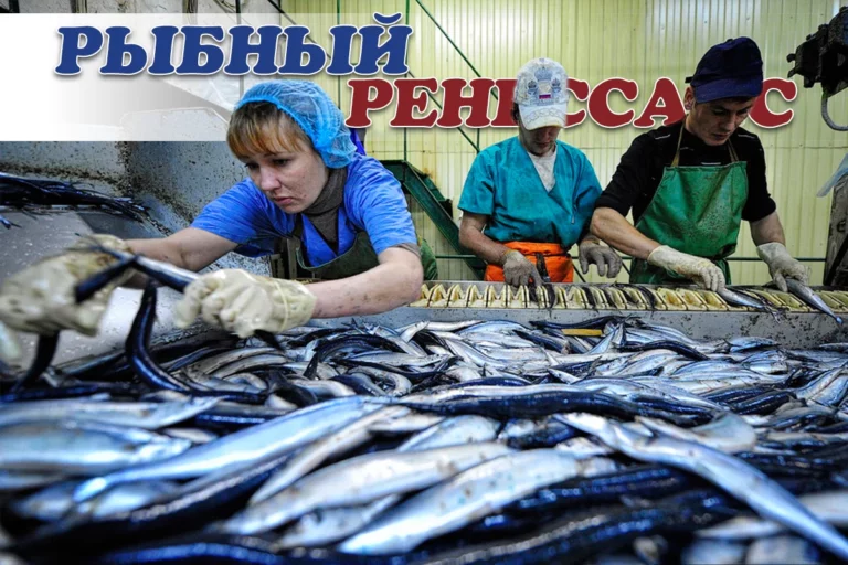 Производство рыбной продукции растет - изображение 1