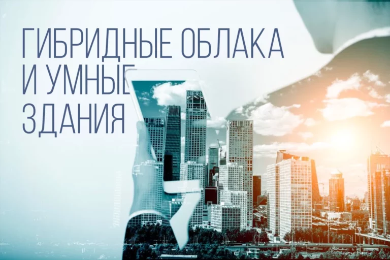 Мультибрендовые разработки растут - изображение 1