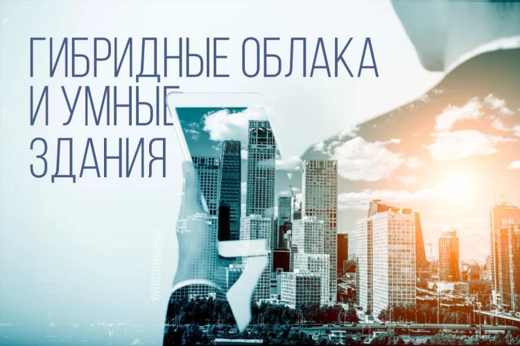 Мультибрендовые разработки растут - изображение 1