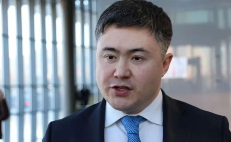 На очередном заседании кабинета министр национальной экономики Тимур Сулейменов подводил оптимистичные итоги полугодия - изображение 1