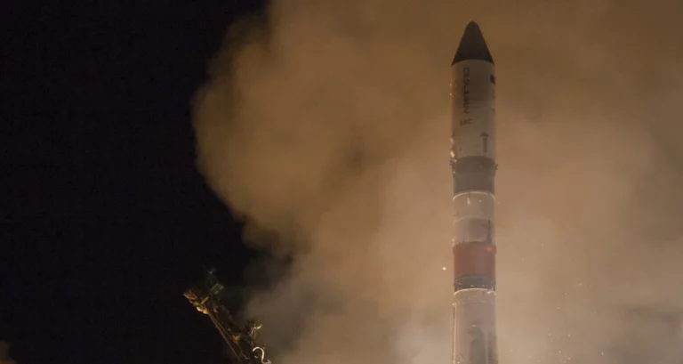 Производство растительного масла растет - изображение 1