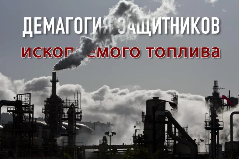 Когда образование становится частью политики - изображение 1
