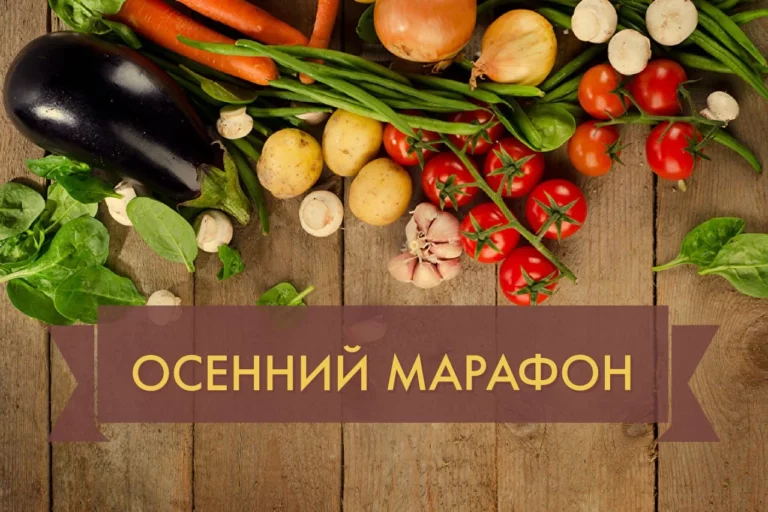 Фонд компенсации потерпевшим заработал - изображение 1