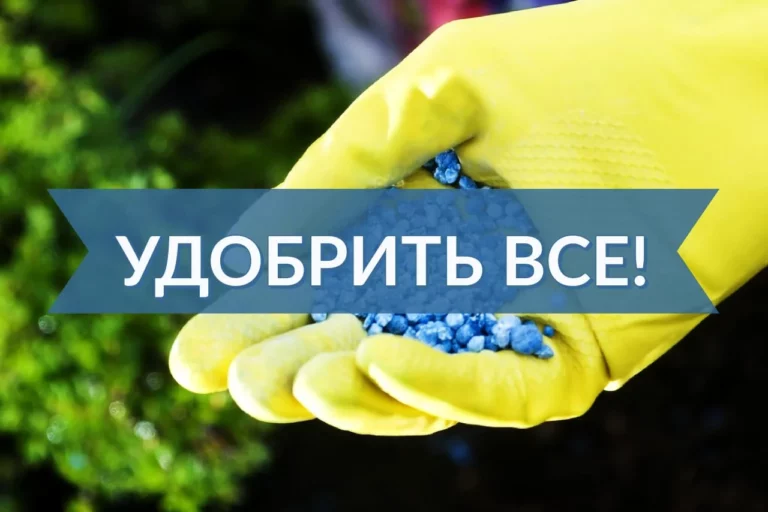 Комбанкам запретили брать комиссии за ведение банковского счета по ипотеке - изображение 1