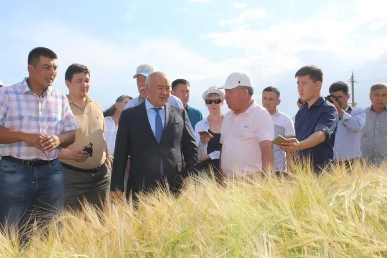 Турция идет на дно и тянет с собой Казахстан - изображение 1