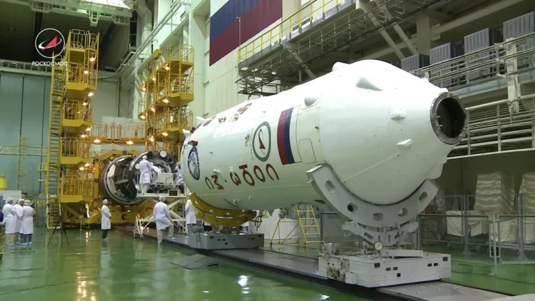 Фискальный парадокс – МФЦА налоги не платит, а самозанятые обязаны - изображение 1