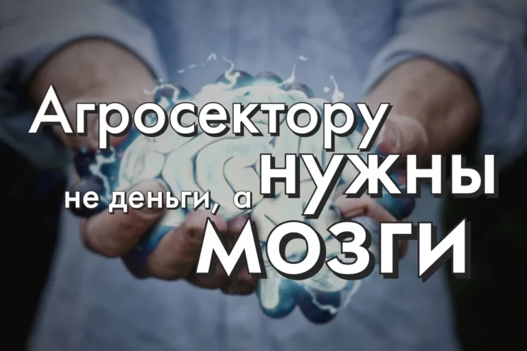 Помощник Путина: рубль валит Центробанк - изображение 1