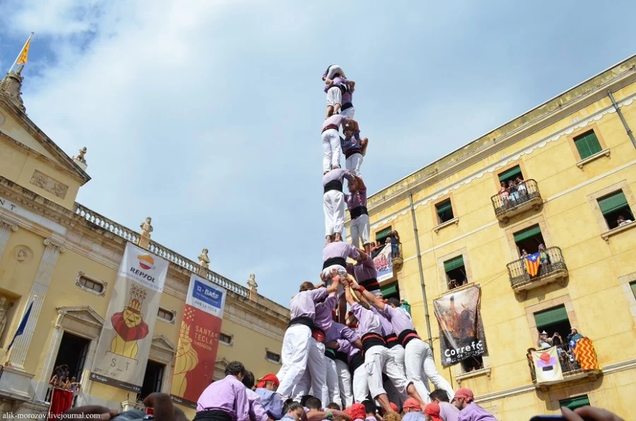 Изображение 1 для Кыргызстан ввел временный запрет на ввоз мяса птицы и яиц из Казахстана