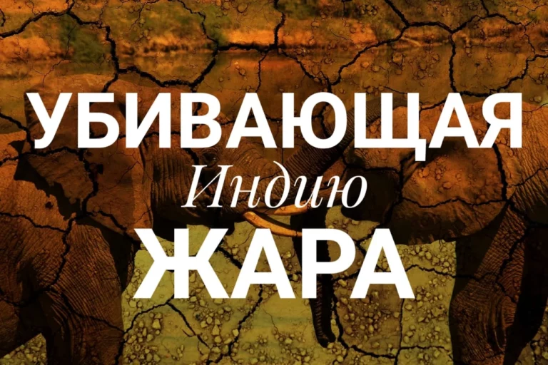В Испании выбирают лучшую «башню из людей» - изображение 1