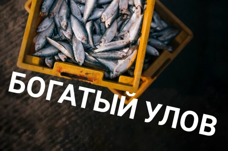 Казахстанский режиссер Елена Лисасина: «Нам никогда не стать Голливудом» - изображение 1