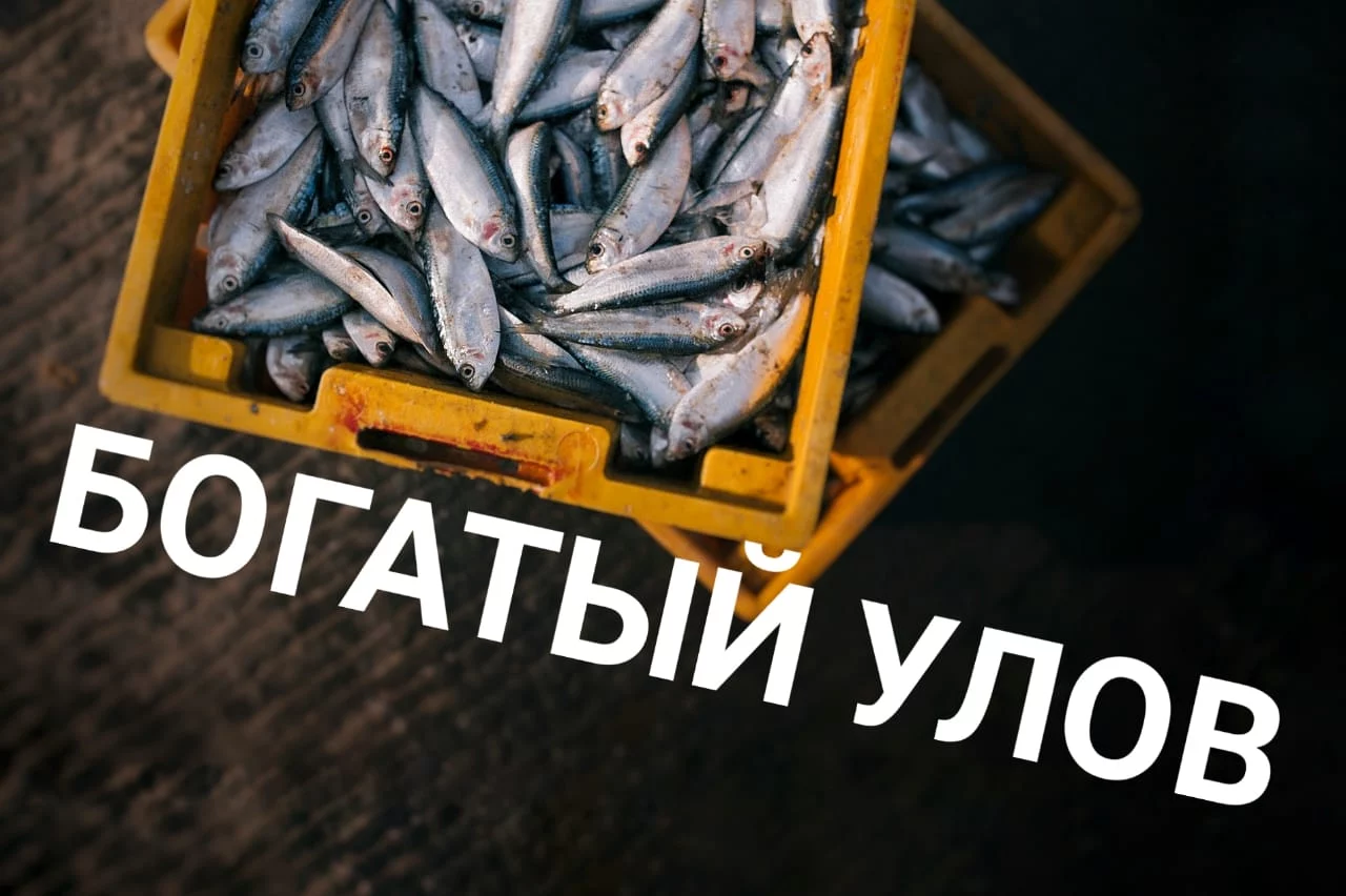 Изображение 4 для Казахстанский режиссер Елена Лисасина: «Нам никогда не стать Голливудом»
