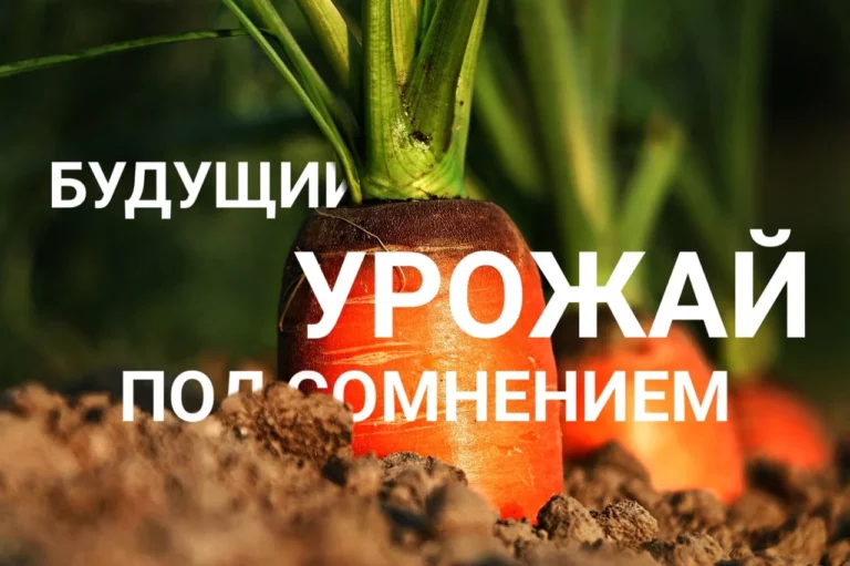 Деньги любят родину издалека - изображение 1
