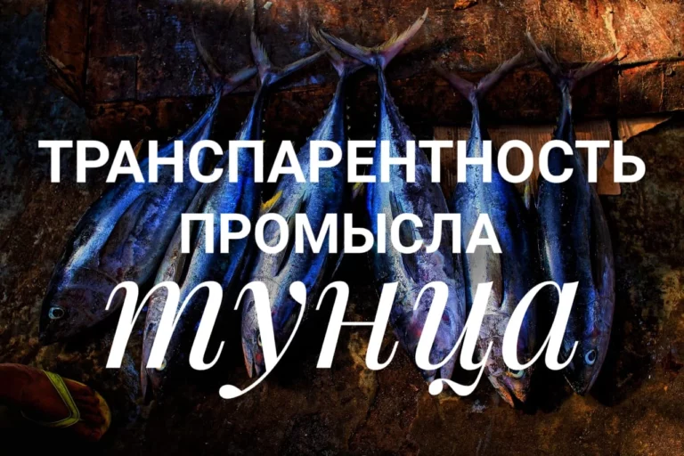 Радикально реалистичный климатический план - изображение 1