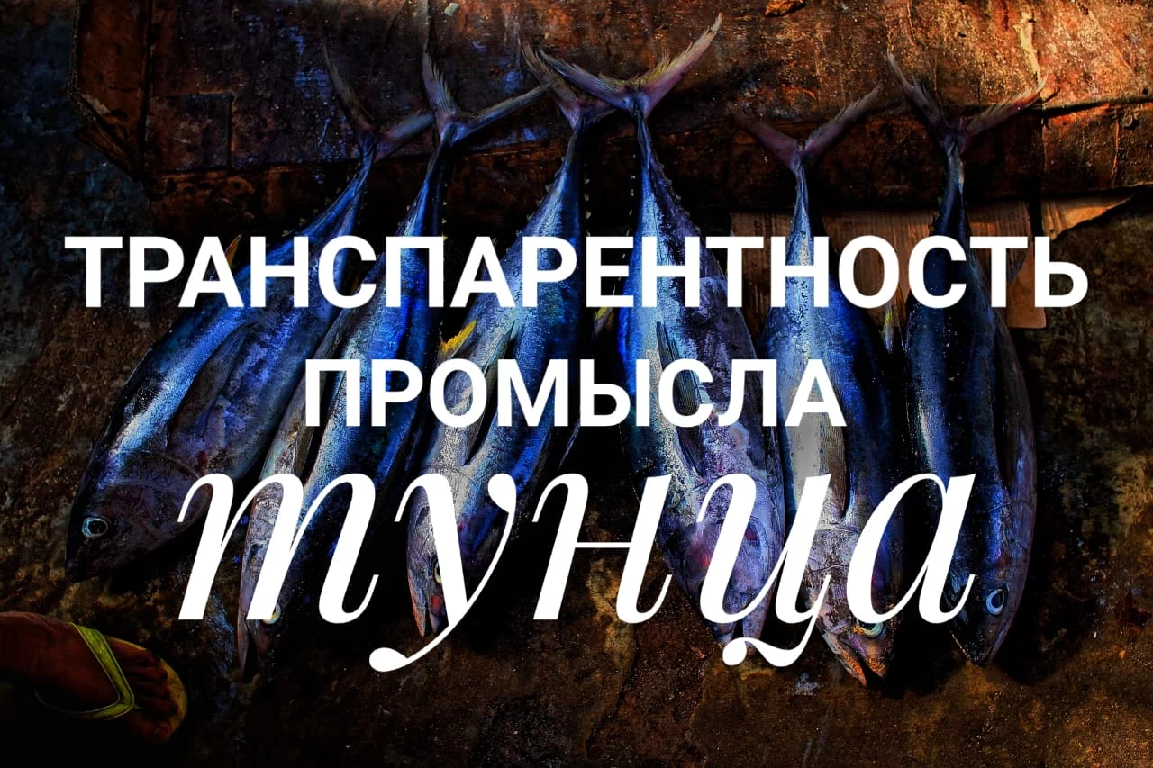 Изображение 1 для Радикально реалистичный климатический план