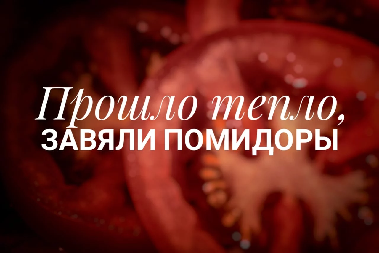 Изображение 5 для Покровитель всех туркмен доведет страну до бунта?