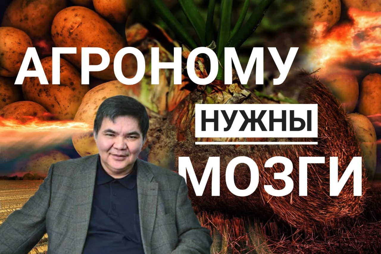 Изображение 1 для Фискальное бремя добивает и население, и бизнес