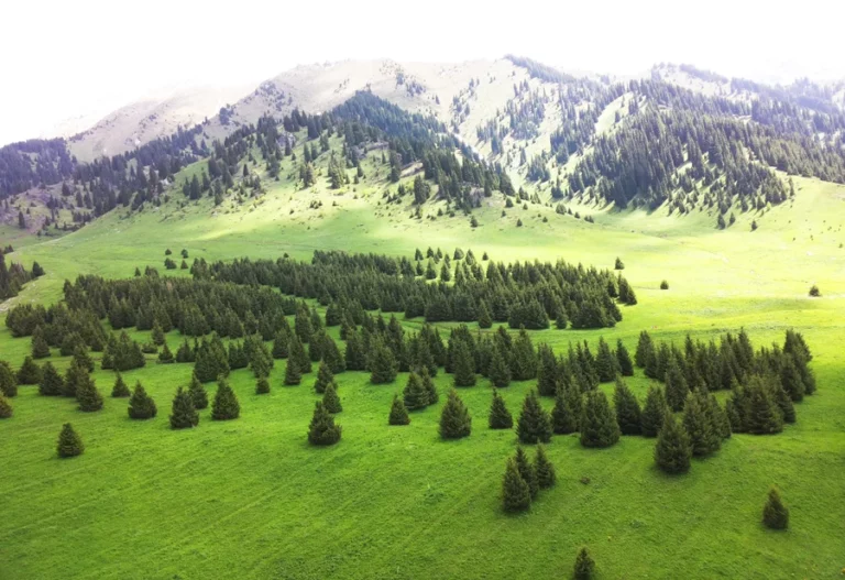 Дело мастера боится - изображение 1