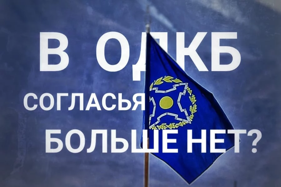 Изображение 1 для Елена Бахмутова: Мы живем в новой реальности.