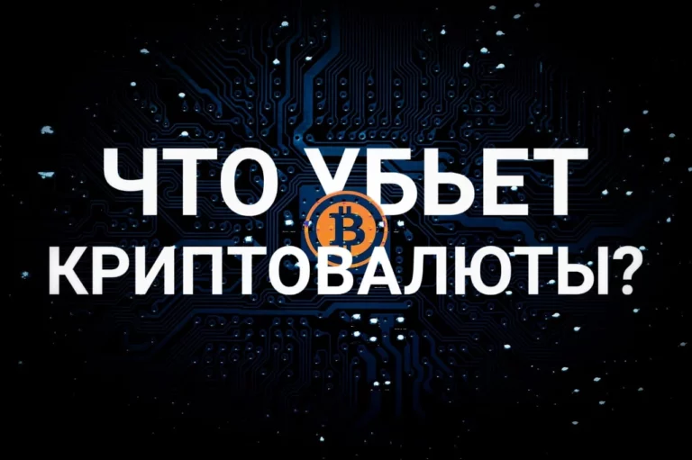 Местные компании пока не нацелены на экспорт - изображение 1