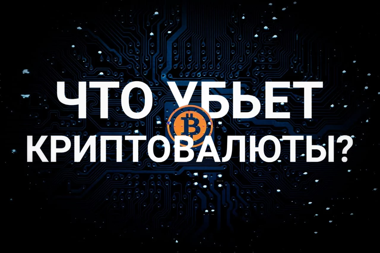 Изображение 1 для Местные компании пока не нацелены на экспорт