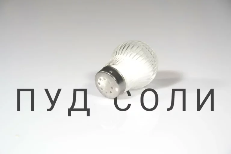 Животноводство вредит экологии - изображение 1