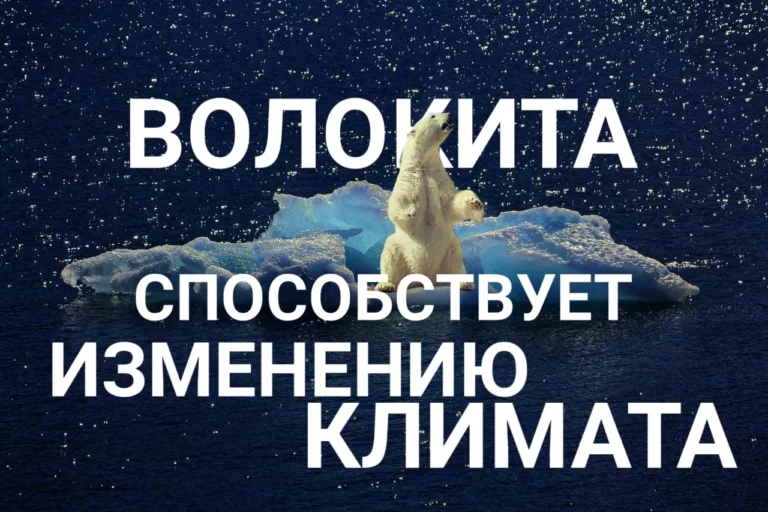 Где находится туалет? - изображение 1