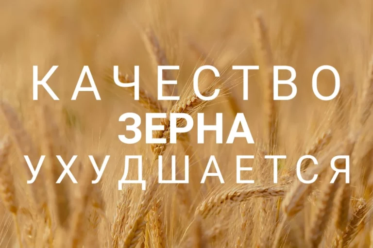 Искусственный интеллект вместо свободы слова - изображение 1