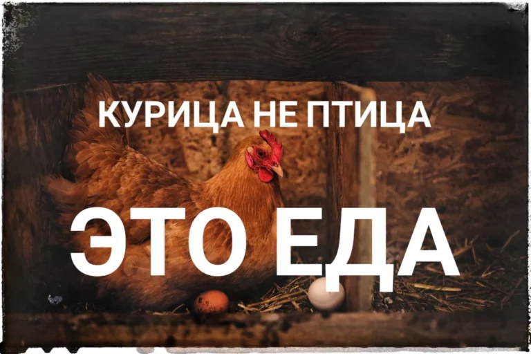 Порядок в обмен на подорожание проезда - изображение 1