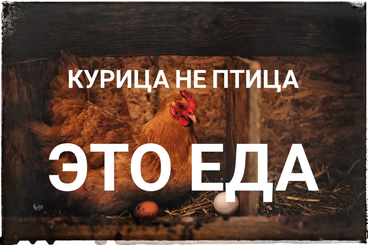 Изображение 4 для Порядок в обмен на подорожание проезда