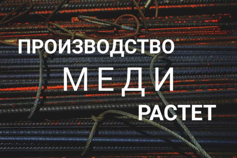 Инвестиции в пищепром растут - изображение 1
