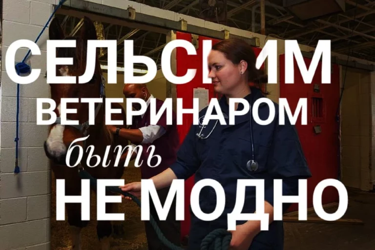 “Жаңа Қазақстан” жауап береді - изображение 1