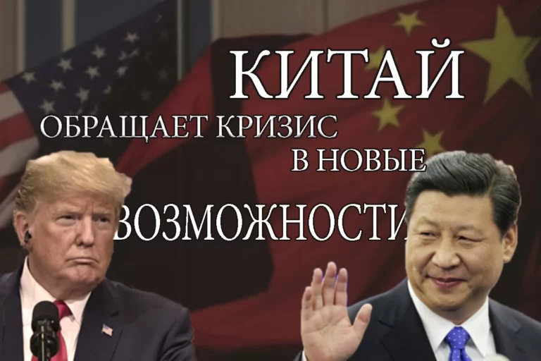 Фрилансерам вышло послабление - изображение 1
