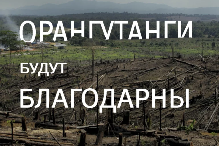 Қарағанды: Қазақ неге көтерілді? - изображение 1