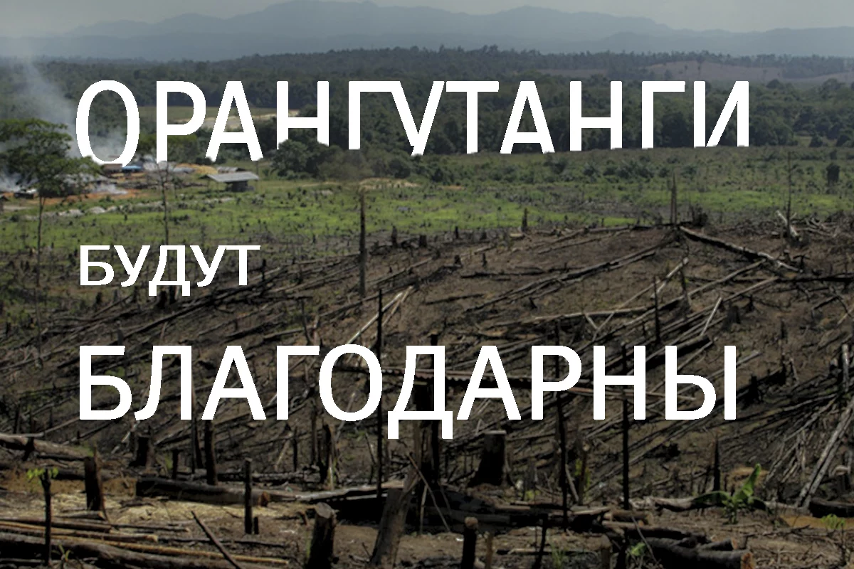 Изображение 1 для Қарағанды: Қазақ неге көтерілді?
