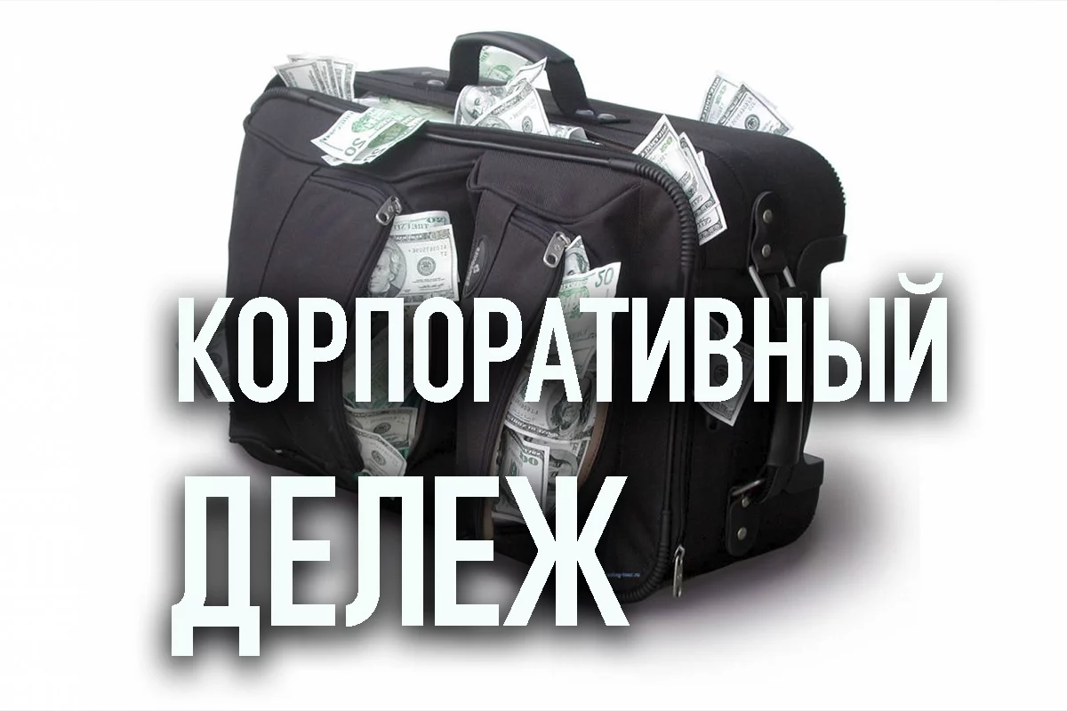 Изображение 1 для Айман Турсынкан: «Фискальное бремя растет, а собираемость налогов падает»