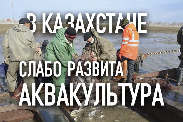 Baring Vostok Capital назначил временных управляющих - изображение 1