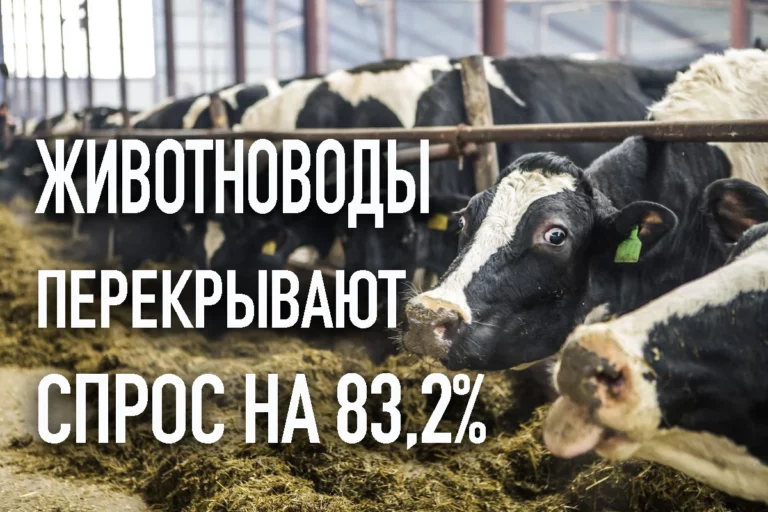 Контурная карта российской геополитики - изображение 1