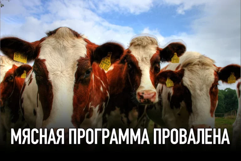 Почему Китай и Россия «застряли» в Венесуэле - изображение 1