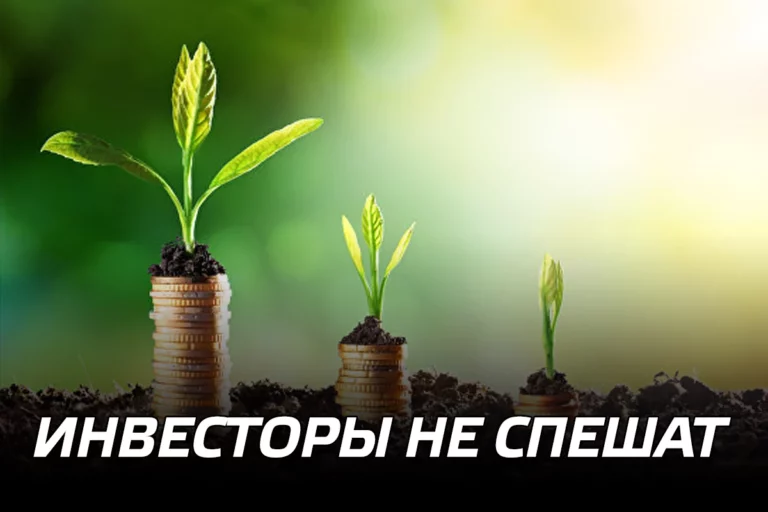 Терроризм приближается к нашим границам - изображение 1