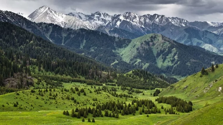 Тенге будет реагировать на политику - изображение 1