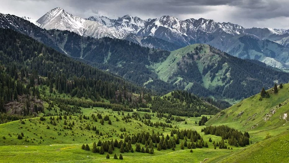 Изображение 1 для Тенге будет реагировать на политику