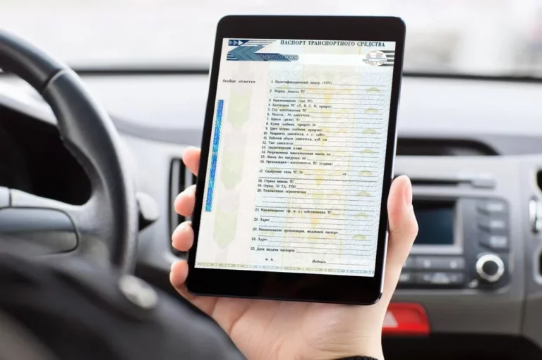 Скромный президент сказал много хороших, правильных слов - изображение 1