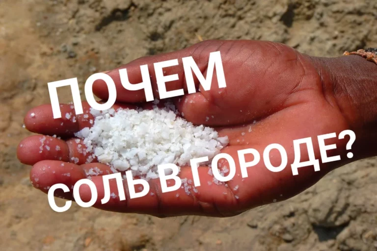 Спасет ли Европа человечество от катастрофы? - изображение 1