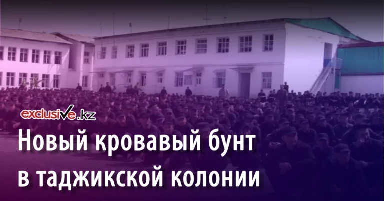 Член правительства отмечает «прекрасную» связь - изображение 1