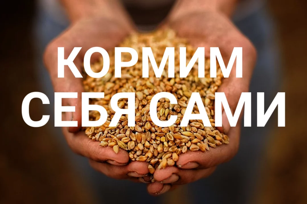 Изображение 1 для Казахстан объявляет войну пластику