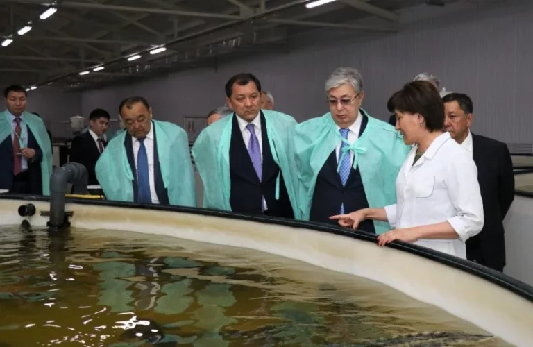 Из резиденции главы государства пришла информация о том, что Касым-Жомарт Токаев берет «на прямой контроль» и всю рыбную отрасль. - изображение 1