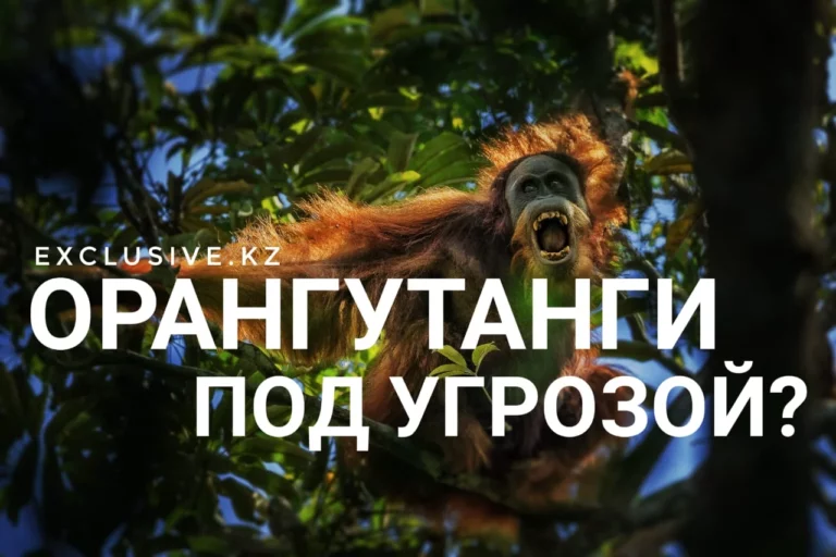 Новые отставки - изображение 1